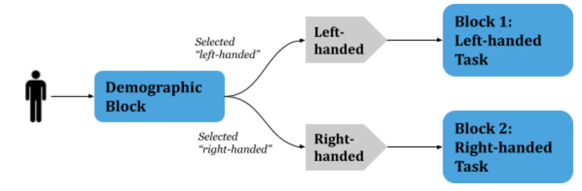 Tutorial Conditional Branching FindingFive Community Update